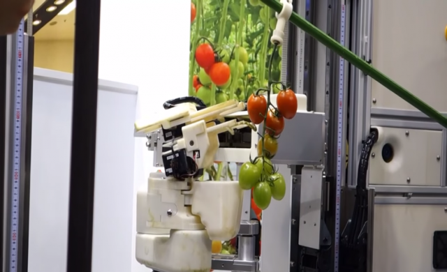 Panasonic създаде робот за бране на домати